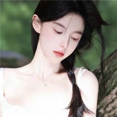 笨金鱼封面